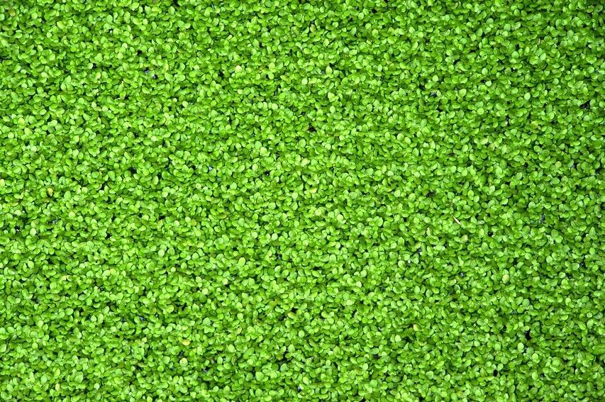 绿意盎然--开化新闻网