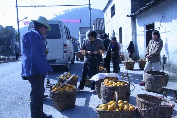 科坑村人口_人口普查