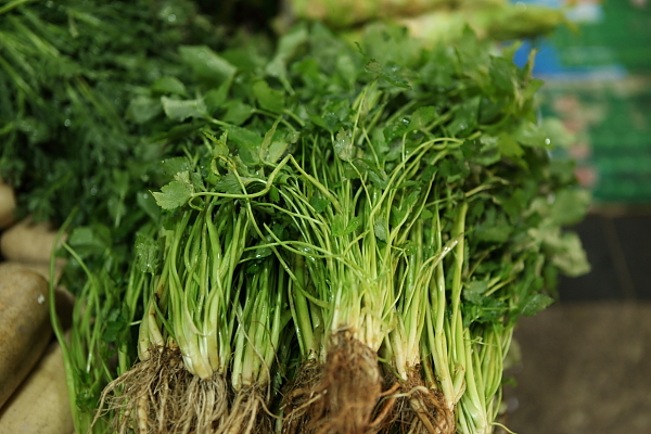 像马兰头,蕨菜,水芹菜,鸭掌菜,地衣,香椿苗等时令野菜悄然上市