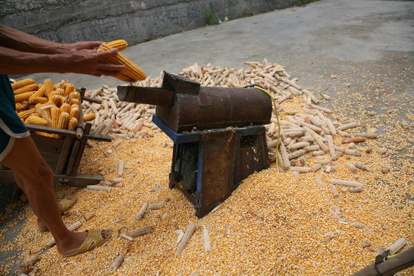 开化农民有大智慧 杨林镇卢海军成功改造玉米脱粒机