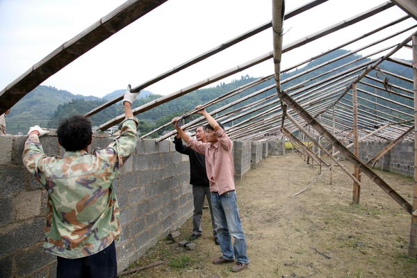 开化县村头镇上边山村民夏金堂发展金针菇生产