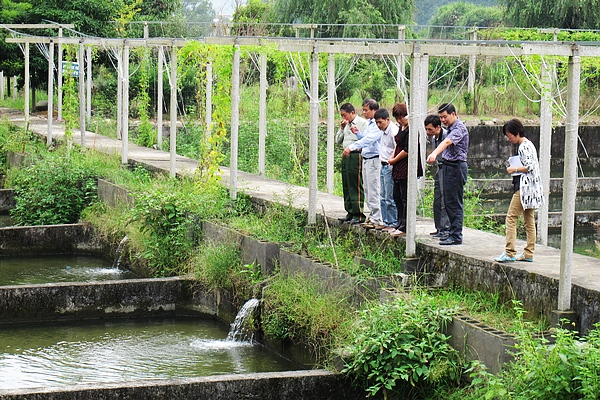 龙游大街乡方旦村组团到开化何田乡学习清水鱼养殖技术