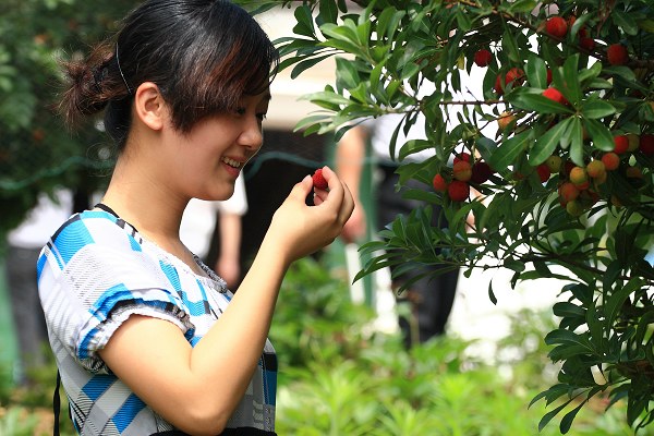 六月杨梅红 采摘正当时——徽女杨梅庄园第二届开园节即将举行