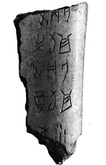 12813161_843594.jpg