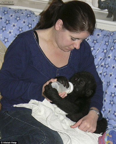 04    据英国媒体18日报道,英国一名热爱小动物的女兽医当起了"奶妈"